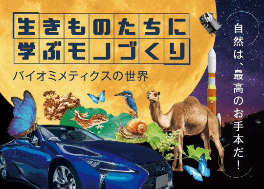 アーカイブNo.17 企画展