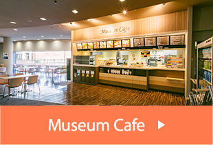 Museum Cafe