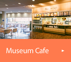 Museum Cafe