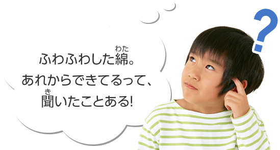 ふわふわした綿。あれからできてるって、聞いたことある！