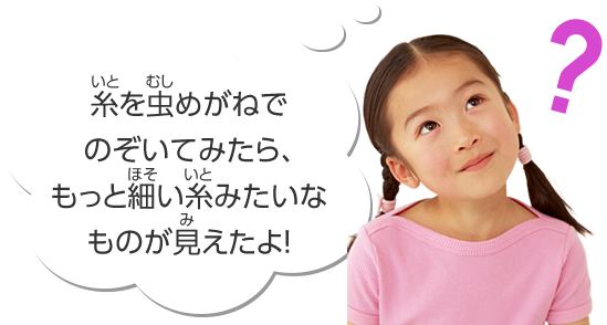 糸を虫めがねでのぞいてみたら、もっと細い糸みたいなものが見えたよ！