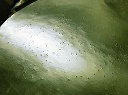 15星座⑳’”