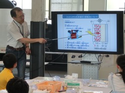 花から太陽電池①