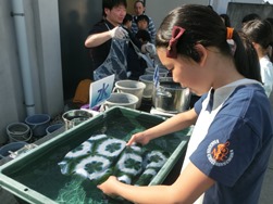 雪花絞り⑩